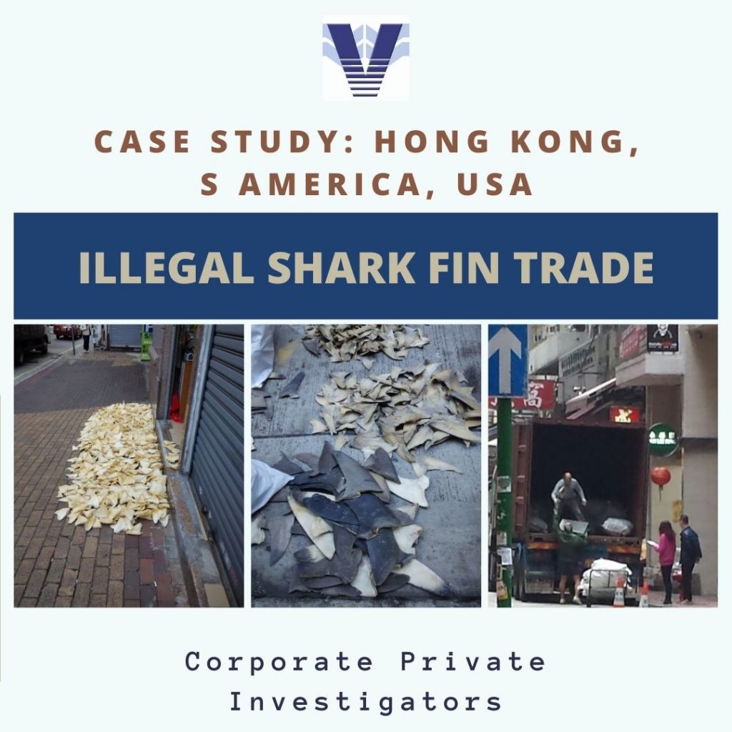 Trade of shark fin in Hong Kong